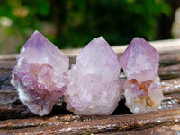 Natural Cactus Flower Smokey Amethyst Spirit Crystals x 70 From South Africa