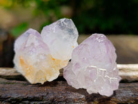 Natural Cactus Flower Smokey Amethyst Spirit Crystals x 70 From South Africa
