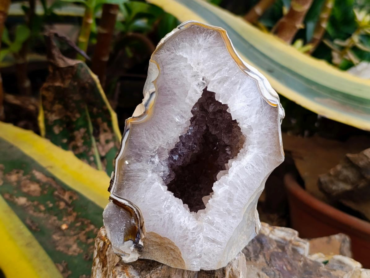 Polished Agate With Crystalline Geodes x 3 From Maintirano, Madagascar