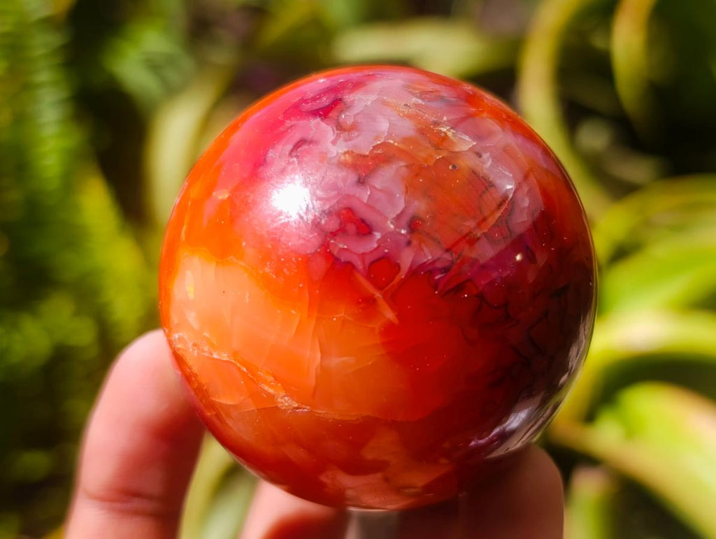 Polished Carnelian Agate Gemstone Spheres x 6 From Madagascar
