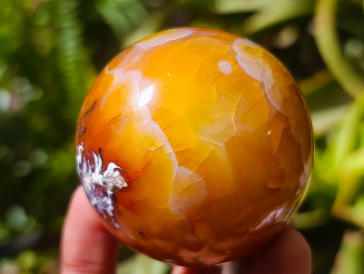 Polished Carnelian Agate Gemstone Spheres x 6 From Madagascar