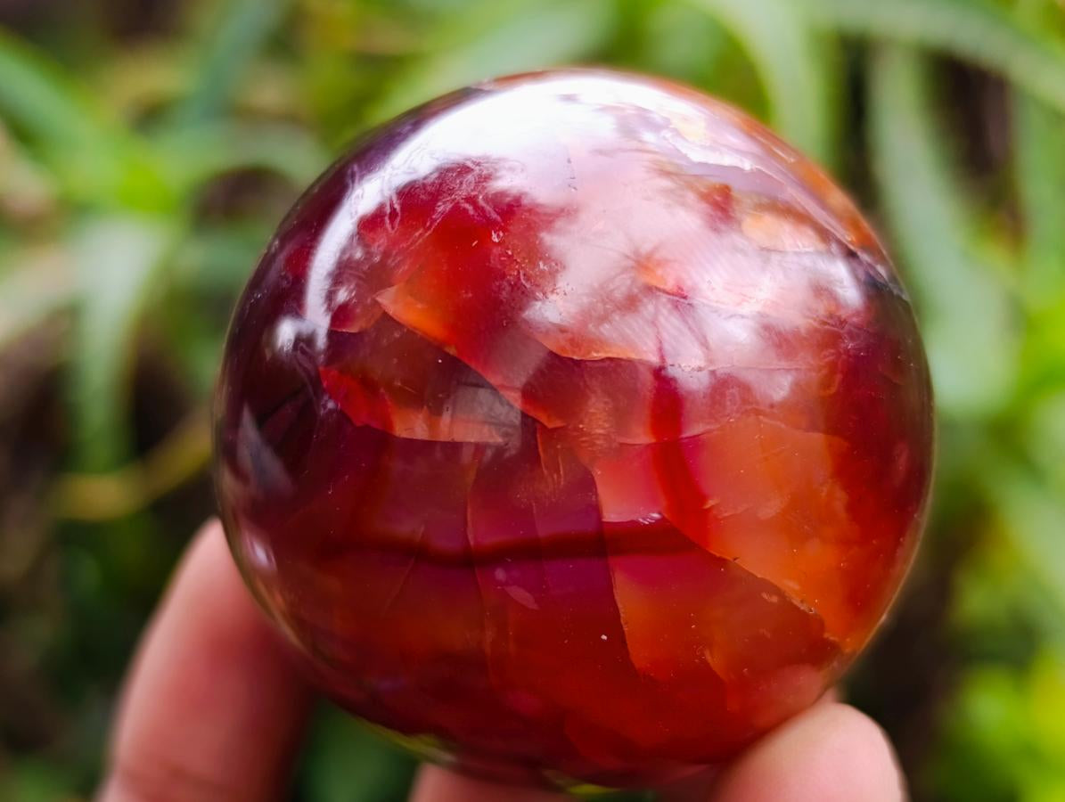 Polished Carnelian Agate Gemstone Spheres x 6 From Madagascar