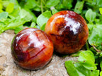 Polished Carnelian Agate Gemstone Spheres x 6 From Madagascar