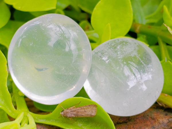 Polished Girasol Pearl Quartz Palm Stones x 35 From Ambatondrazaka, Madagascar