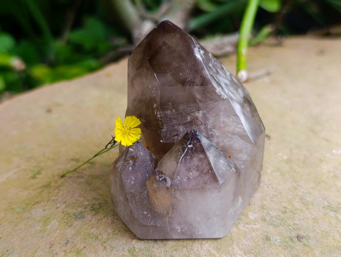 Polished Smokey Quartz Crystals With Inclusions x 6 From Madagascar