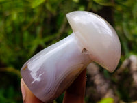 Polished Mixed Multi Mineral Mushrooms x 6 From Madagascar