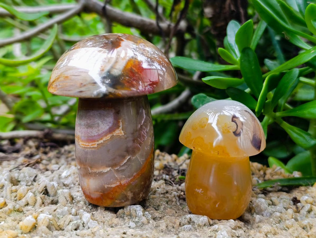 Polished Mixed Multi Mineral Mushrooms x 6 From Madagascar