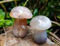 Polished Mixed Multi Mineral Mushrooms x 6 From Madagascar
