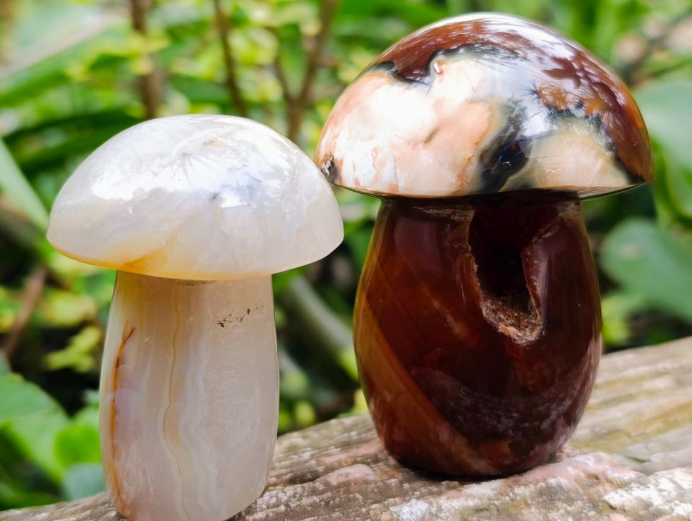 Polished Mixed Multi Mineral Mushrooms x 6 From Madagascar