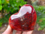 Polished Carnelian Agate Gemstone Hearts x 6 From Madagascar