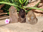 Polished Smokey Window Quartz Crystals x 3 From Madagascar