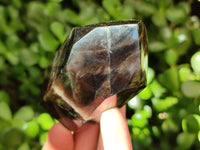 Polished Smokey Window Quartz Crystals x 3 From Madagascar