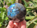 Polished Labradorite Spheres x 6 From Tulear, Madagascar