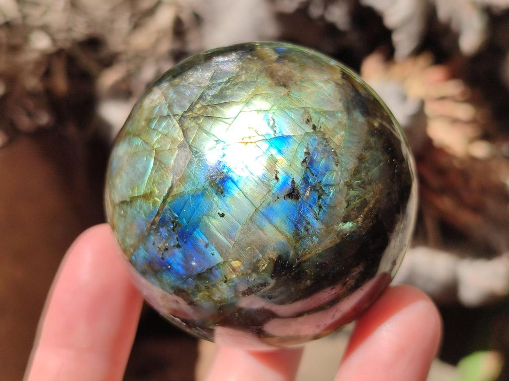 Polished Labradorite Spheres x 6 From Tulear, Madagascar