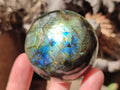 Polished Labradorite Spheres x 6 From Tulear, Madagascar