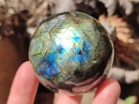 Polished Labradorite Spheres x 6 From Tulear, Madagascar