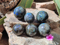 Polished Labradorite Spheres x 6 From Tulear, Madagascar