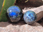 Polished Labradorite Spheres x 6 From Tulear, Madagascar