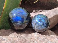 Polished Labradorite Spheres x 6 From Tulear, Madagascar