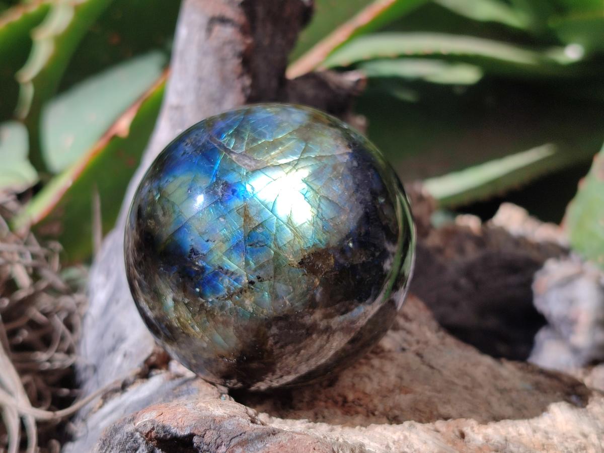 Polished Labradorite Spheres x 6 From Tulear, Madagascar
