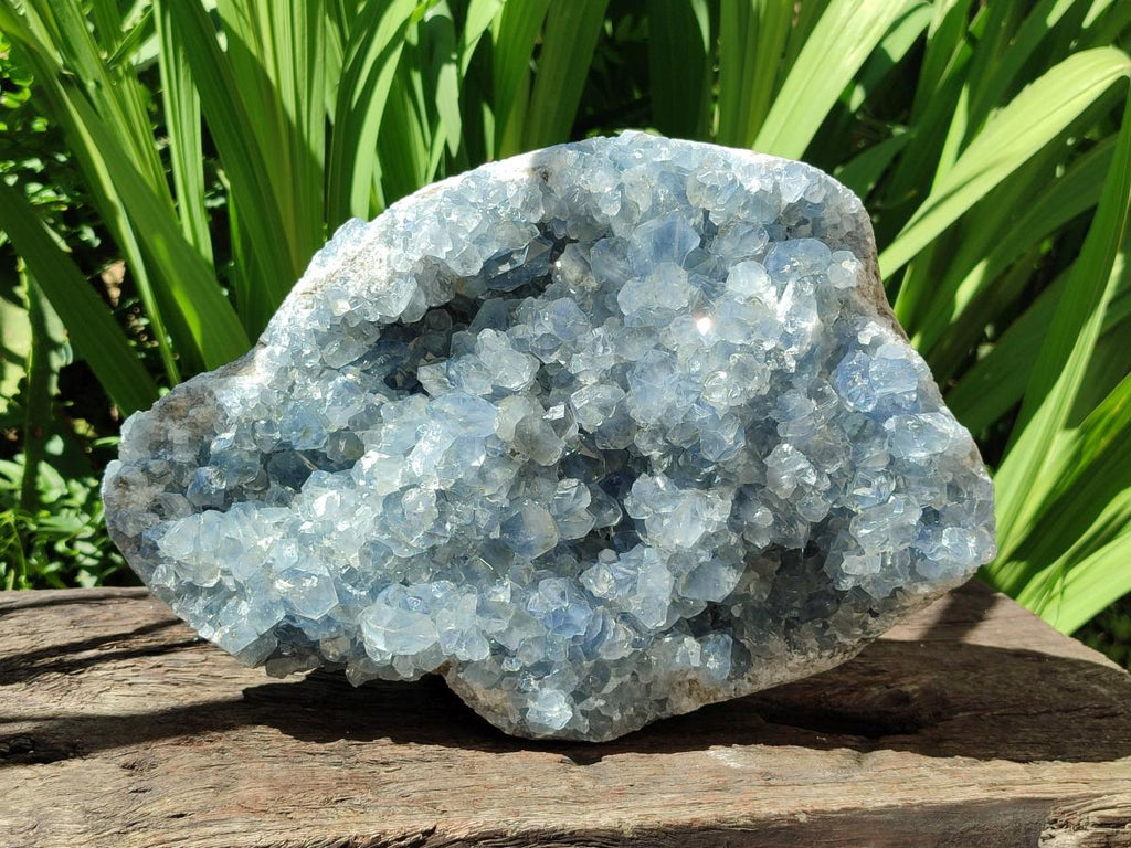 Natural Blue Celestite Specimen x 1 From Sakoany, Madagascar