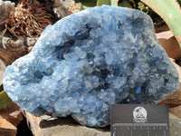 Natural Blue Celestite Specimen x 1 From Sakoany, Madagascar