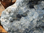 Natural Blue Celestite Specimen x 1 From Sakoany, Madagascar