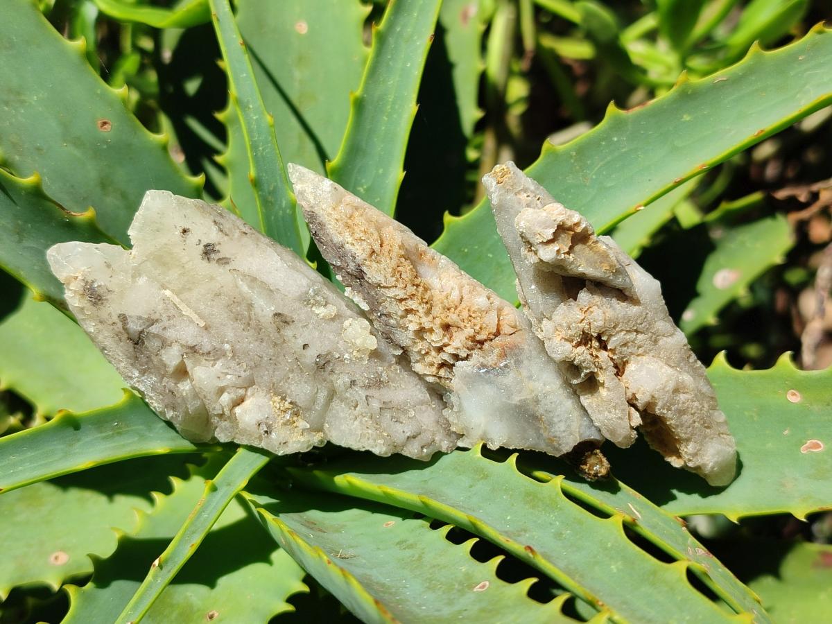 Natural Drusy Quartz Coated Spearhead Calcite Crystals x 20 From Albert's Mountain, Lesotho