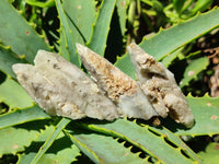 Natural Drusy Quartz Coated Spearhead Calcite Crystals x 20 From Albert's Mountain, Lesotho
