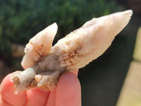 Natural Drusy Quartz Coated Spearhead Calcite Crystals x 20 From Albert's Mountain, Lesotho