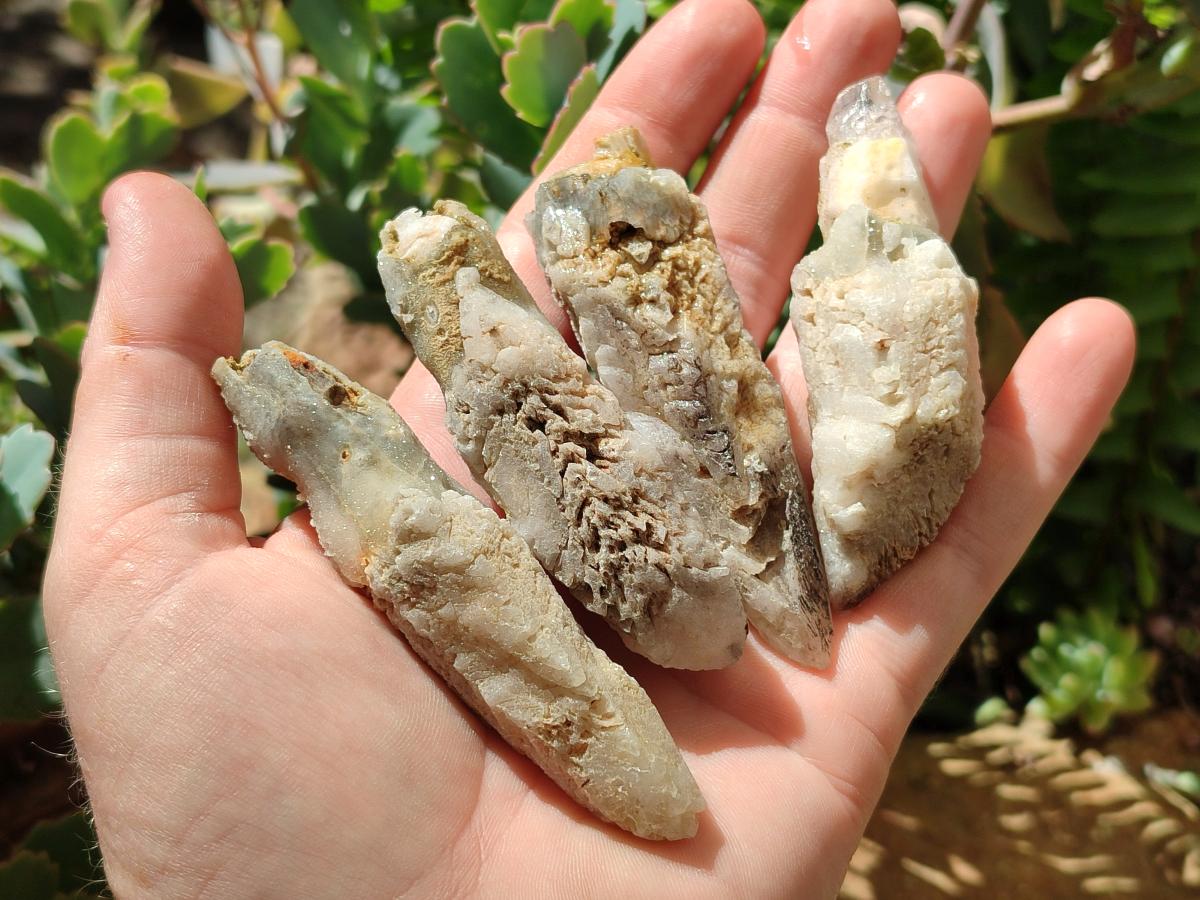 Natural Drusy Quartz Coated Spearhead Calcite Crystals x 20 From Albert's Mountain, Lesotho