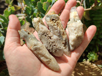 Natural Drusy Quartz Coated Spearhead Calcite Crystals x 20 From Albert's Mountain, Lesotho