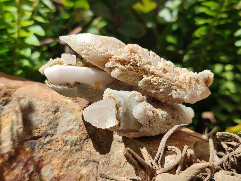 Natural Drusy Quartz Coated Spearhead Calcite Crystals x 20 From Albert's Mountain, Lesotho