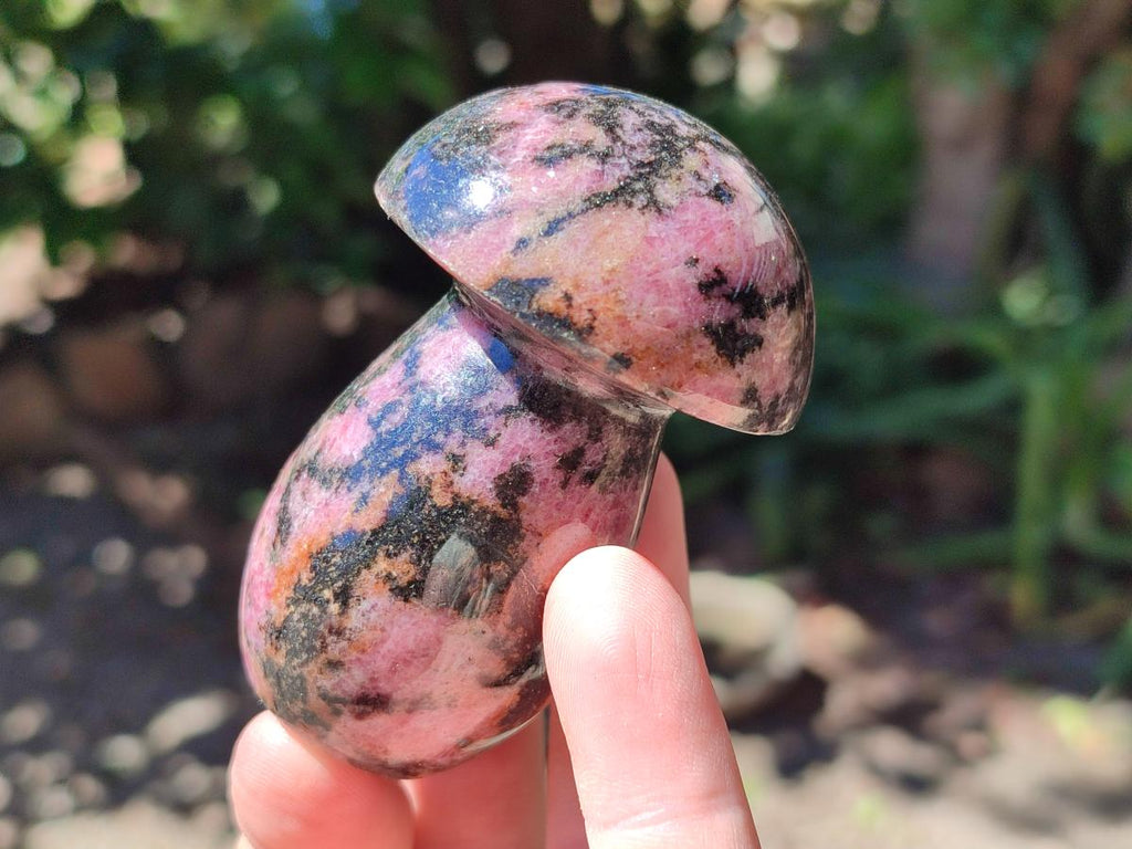 Polished Rhodonite Mushrooms x 6 From Ambindavato, Madagascar - Toprock Gemstones and Minerals 