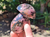 Polished Rhodonite Mushrooms x 6 From Ambindavato, Madagascar