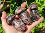 Polished Rhodonite Mushrooms x 6 From Ambindavato, Madagascar - Toprock Gemstones and Minerals 