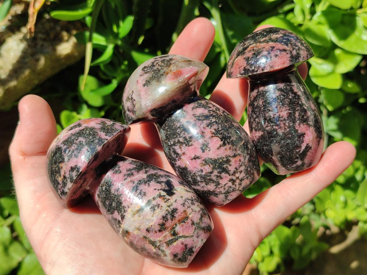Polished Rhodonite Mushrooms x 6 From Ambindavato, Madagascar - Toprock Gemstones and Minerals 