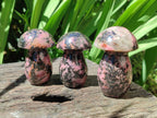 Polished Rhodonite Mushrooms x 6 From Ambindavato, Madagascar - Toprock Gemstones and Minerals 