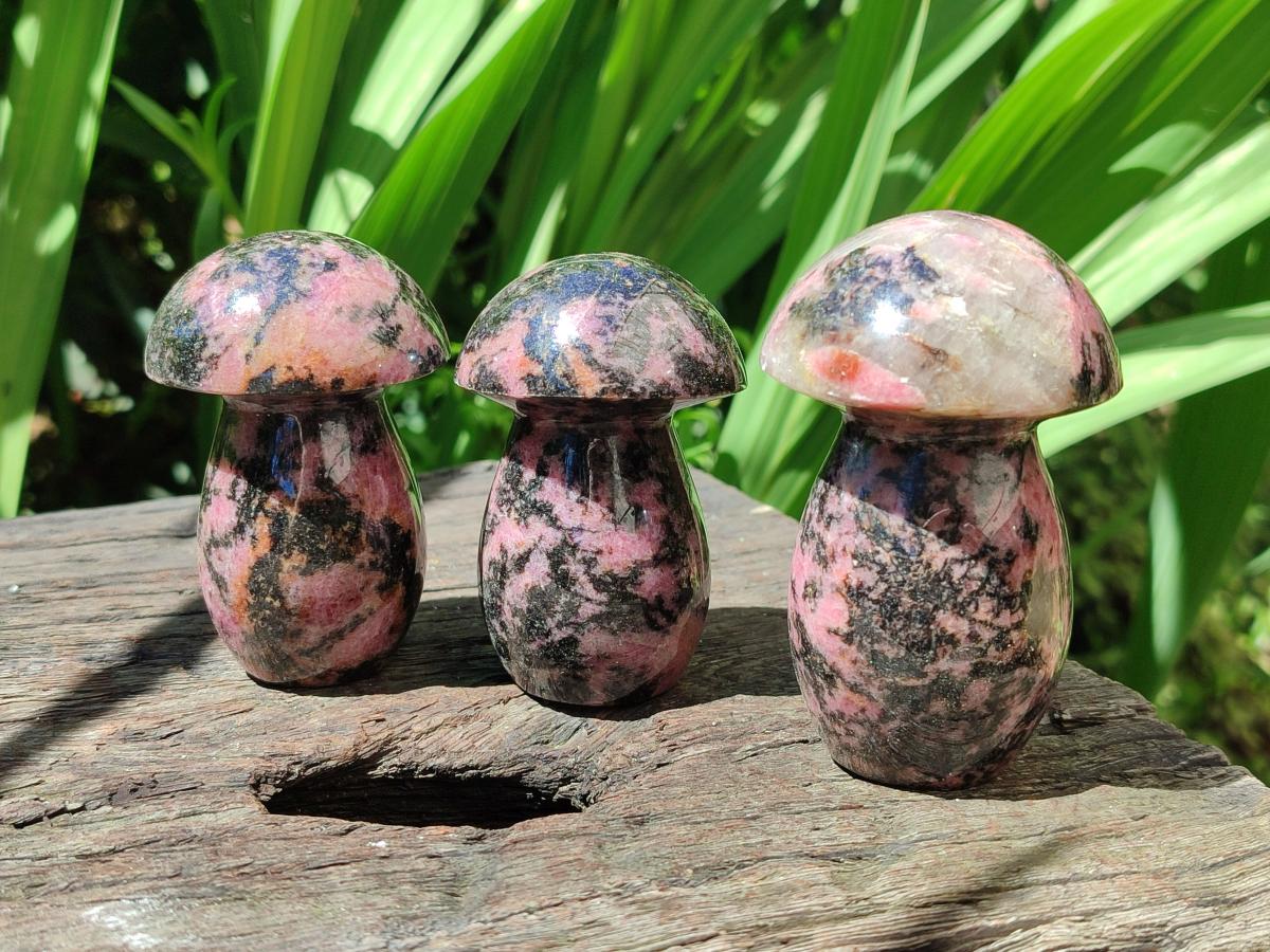Polished Rhodonite Mushrooms x 6 From Ambindavato, Madagascar - Toprock Gemstones and Minerals 