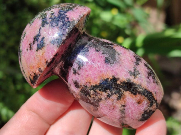 Polished Rhodonite Mushrooms x 6 From Ambindavato, Madagascar