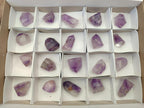Polished Window Amethyst Crystals x 20 From Akansobe, Madagascar