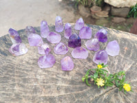 Polished Window Amethyst Crystals x 20 From Akansobe, Madagascar