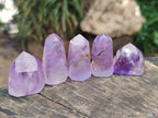 Polished Window Amethyst Crystals x 20 From Akansobe, Madagascar