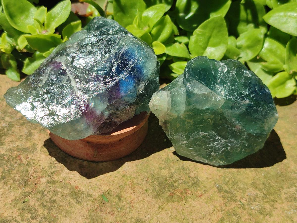 Natural Watermelon Fluorite Cobbed Specimens x 12 From Uis, Namibia