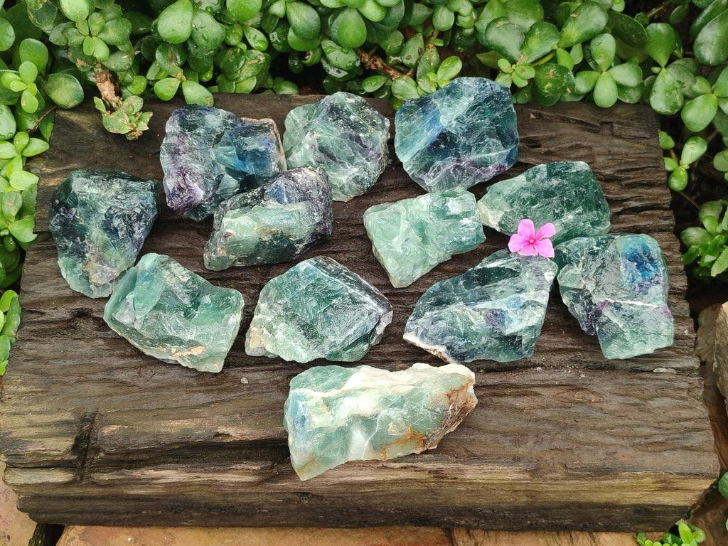 Natural Watermelon Fluorite Cobbed Specimens x 12 From Uis, Namibia