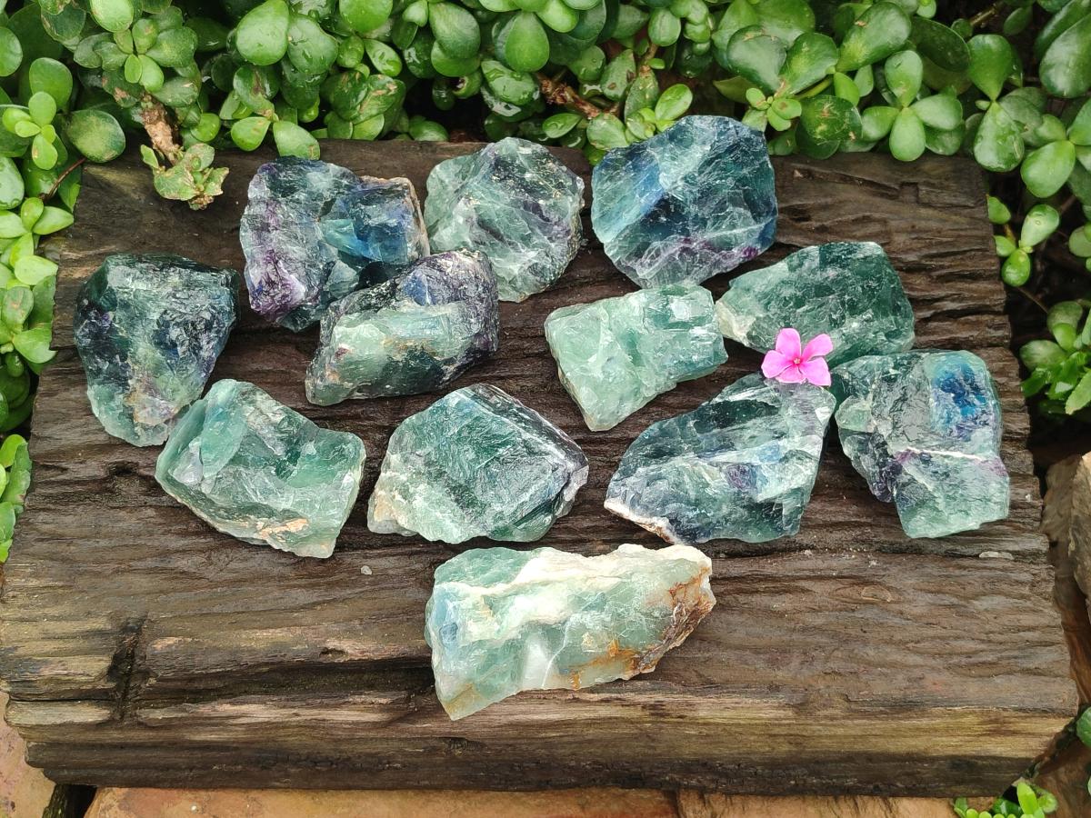 Natural Watermelon Fluorite Cobbed Specimens x 12 From Uis, Namibia