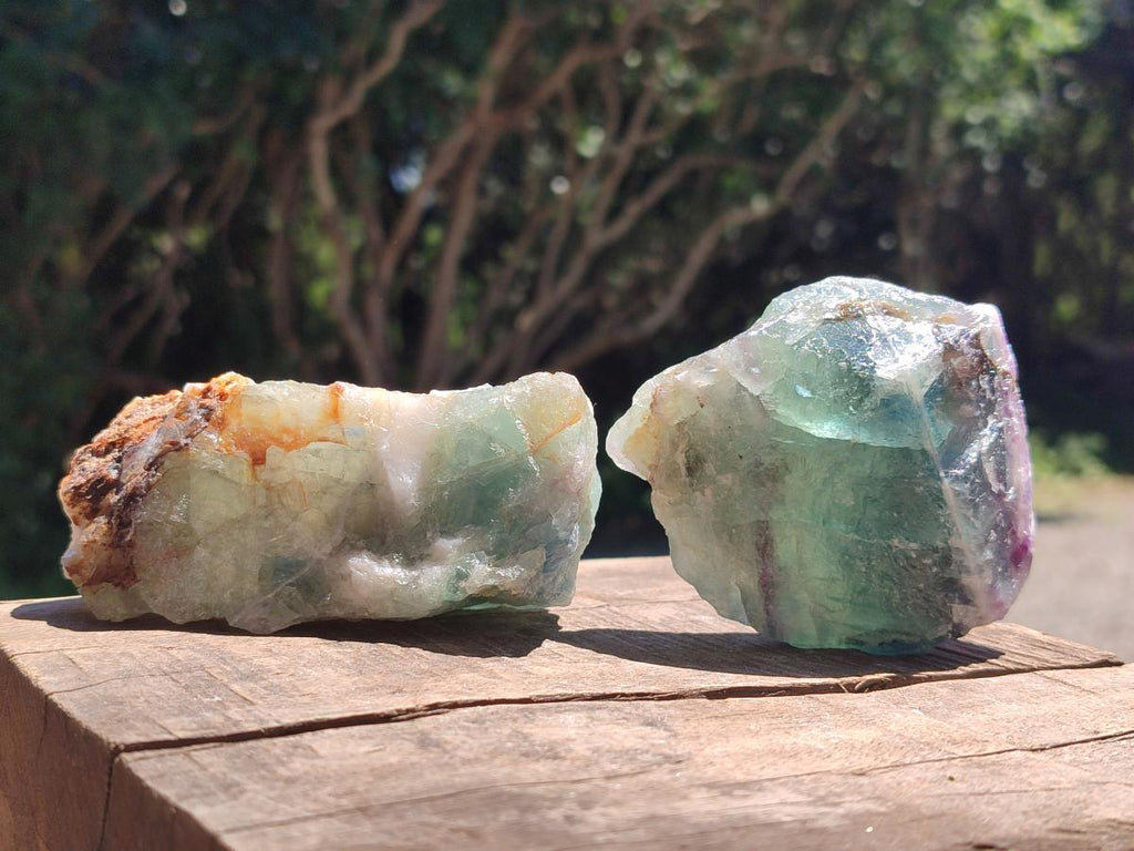 Natural Watermelon Fluorite Cobbed Specimens x 12 From Uis, Namibia