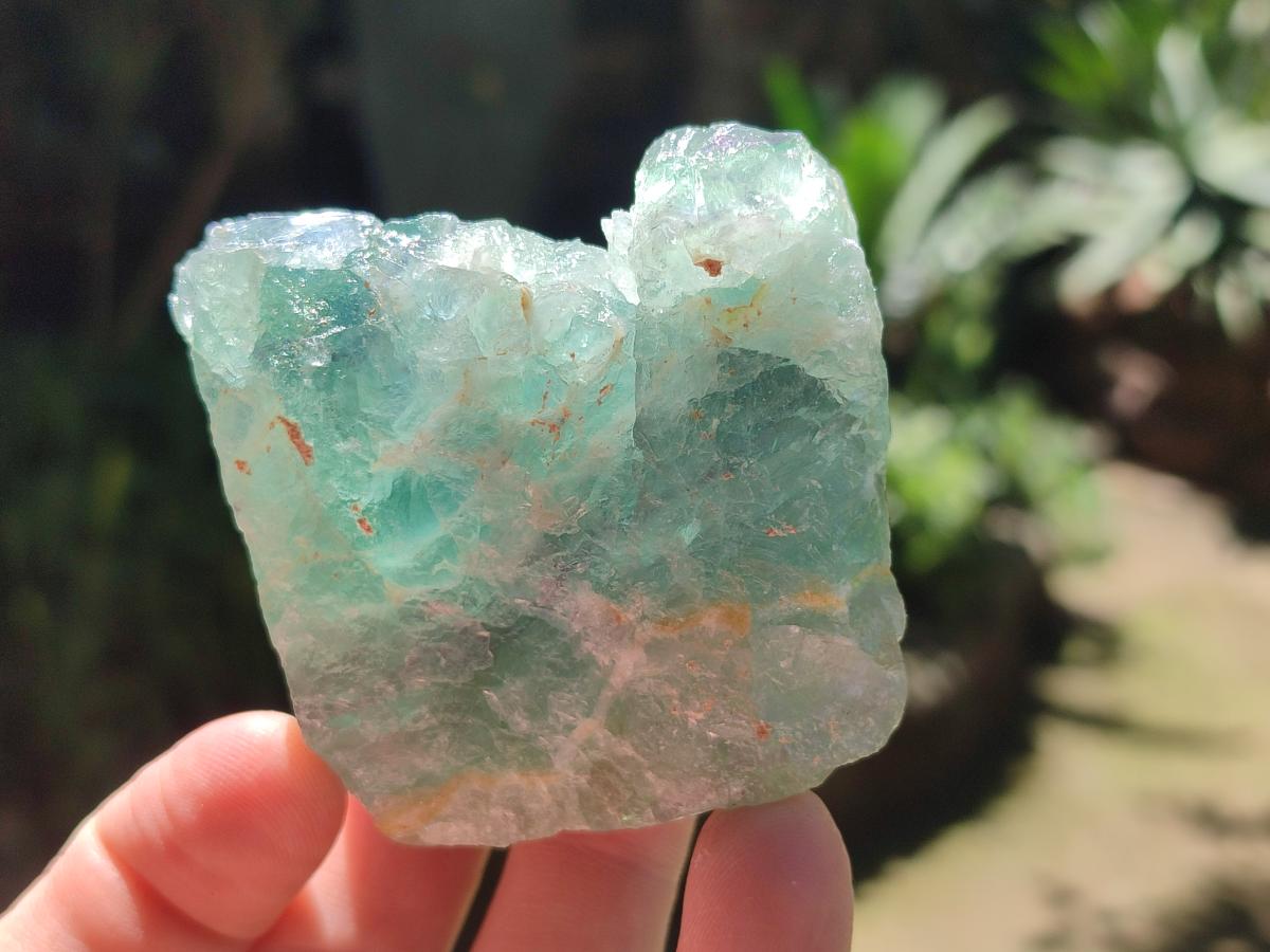 Natural Watermelon Fluorite Cobbed Specimens x 12 From Uis, Namibia