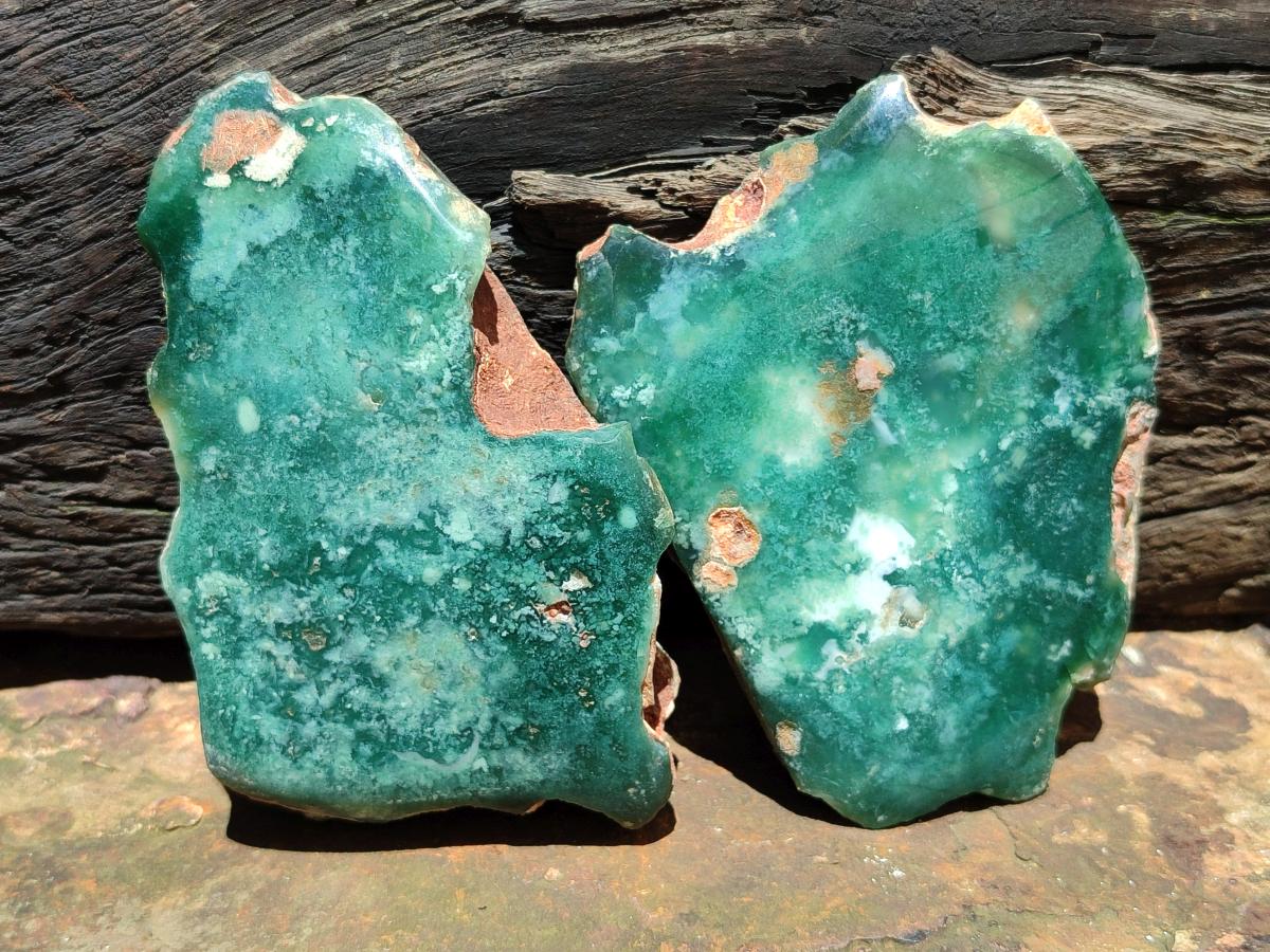 Polished On One Side Mtorolite Plates x 6 From Mutorashanga, Zimbabwe