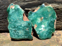 Polished On One Side Mtorolite Plates x 6 From Mutorashanga, Zimbabwe